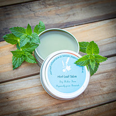 Mint leaf salve in silver tin with green leaves on wood surface, Dry Hollow Farm text visible