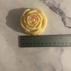 Close-up of textured watermelon shea butter lotion bar with natural swirls and creamy beige hue