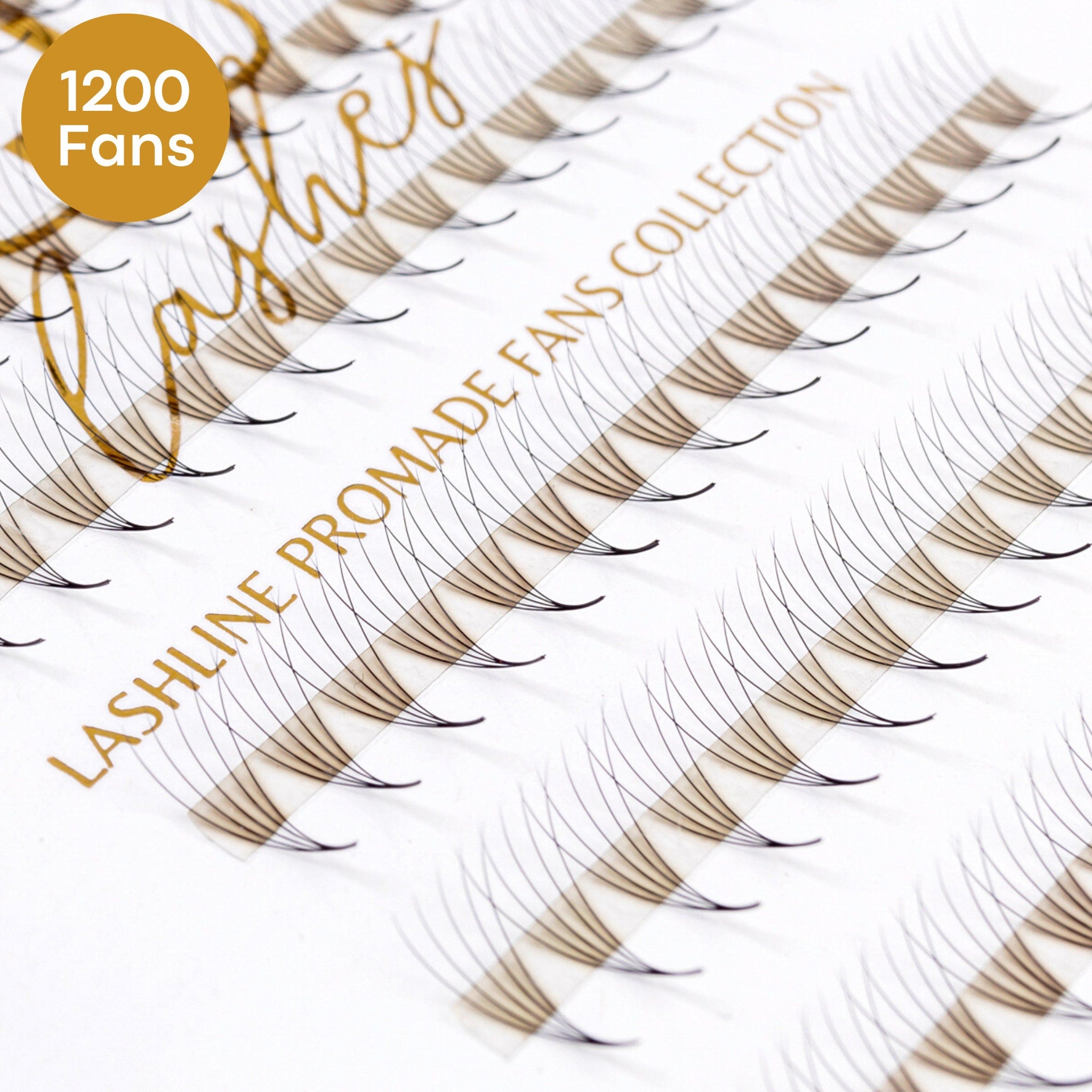 Eyelash fans in black and brown with Lashline Promade Fans Collection text on white background