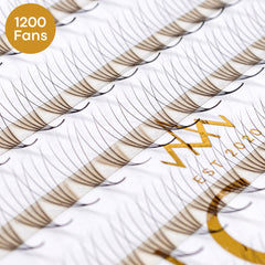 Eyelash extensions with black lashes, brown base, and white backing with gold text.