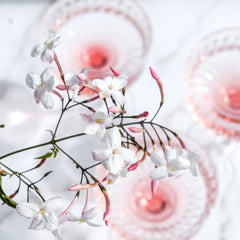 White flowers with pink buds, set with pink liquid in glasses on white surface