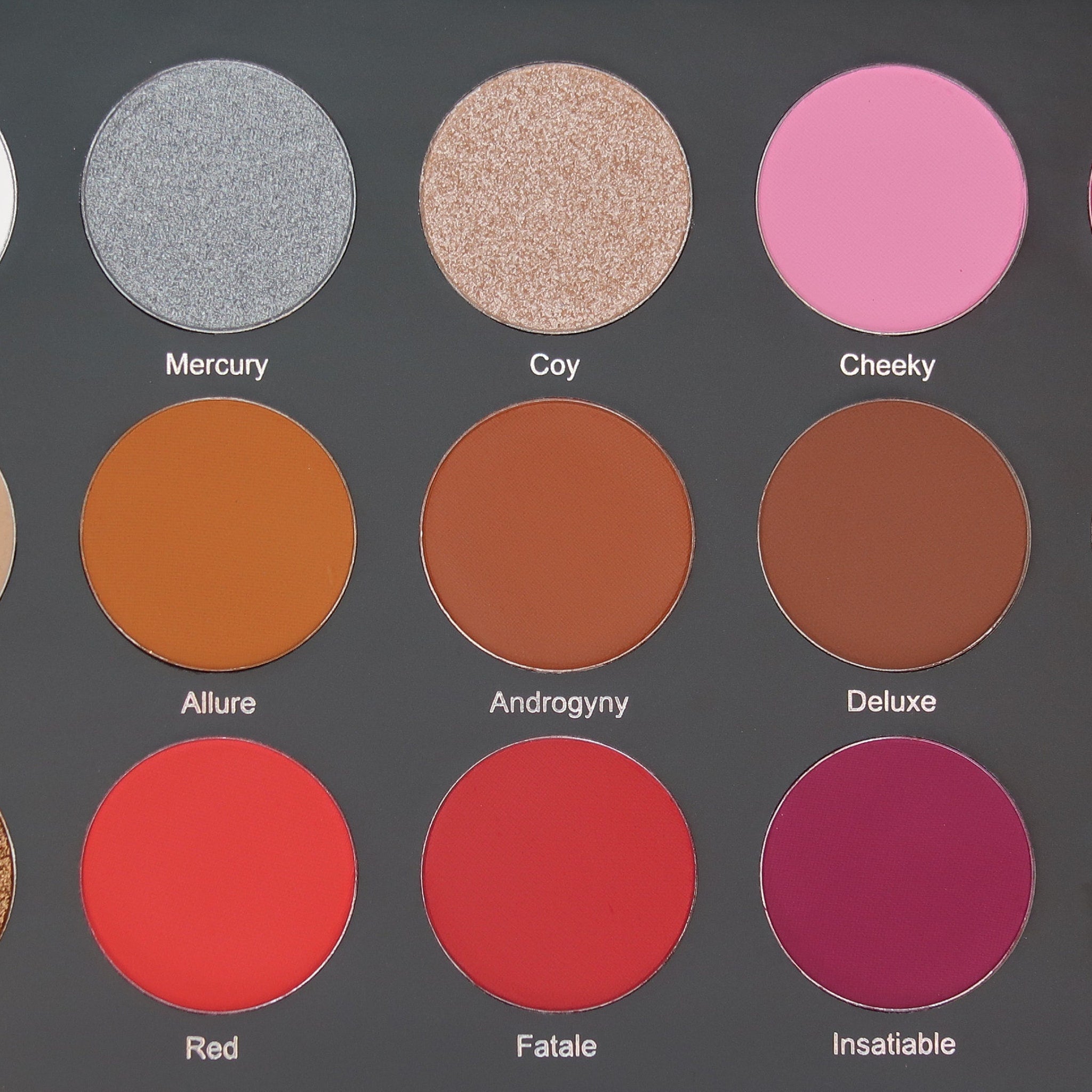 Eyeshadow palette with silver, bronze, and pink circular pans on dark background