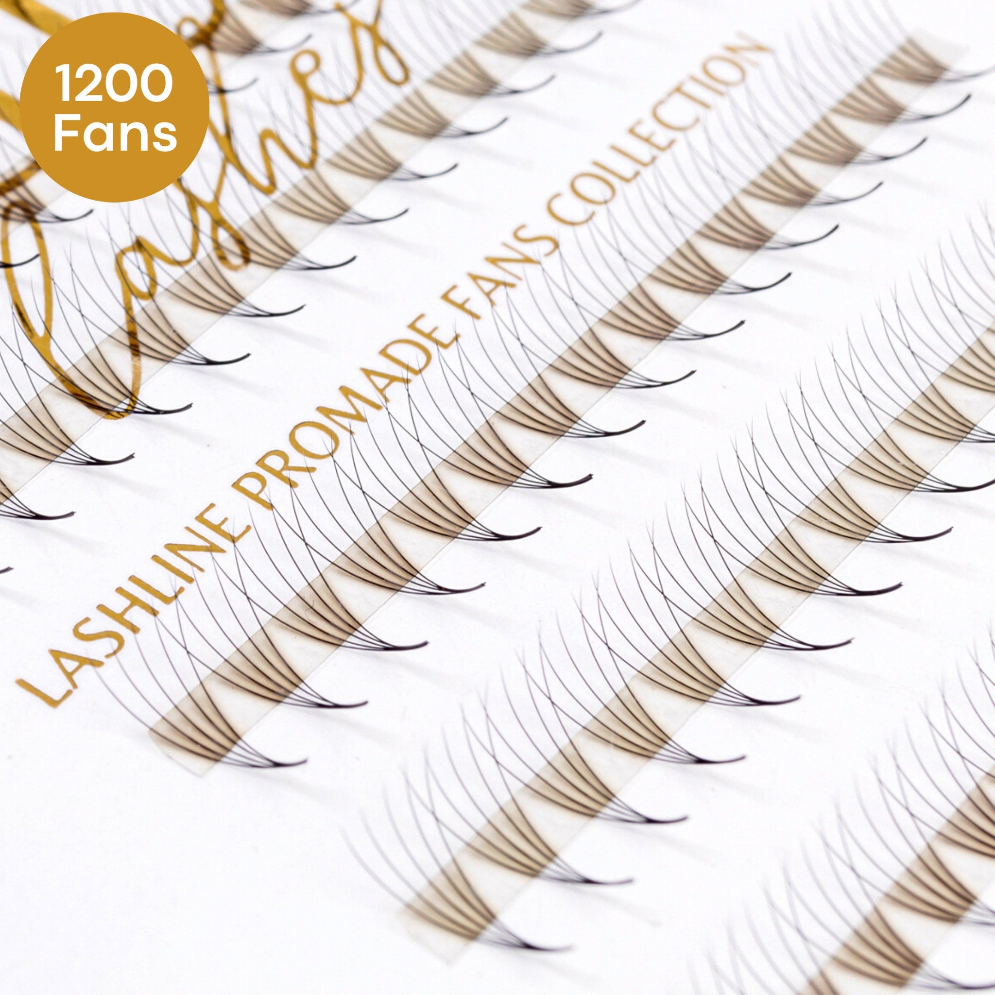 Eyelash extensions with black and brown fans on clear tape, Lashline Promade Fans Collection text