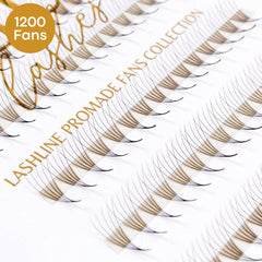 Eyelash extensions with black and brown fans on clear tape, Lashline Promade Fans Collection text