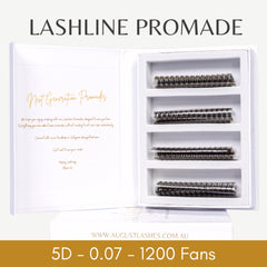 5D Promade Fans, black lash fans in a white box with August Lashes branding visible
