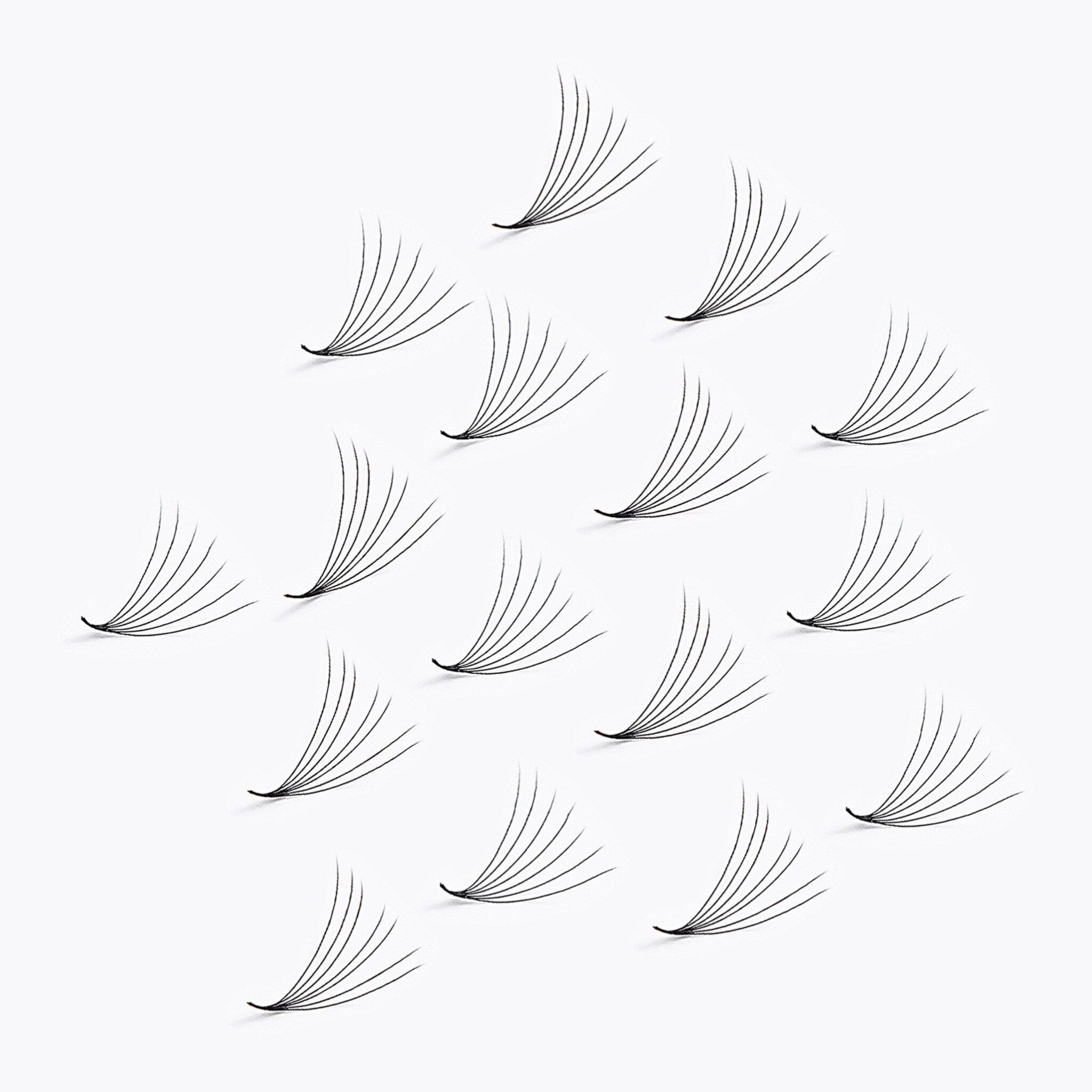 Eyelash extensions, black synthetic, curved fan style on white background