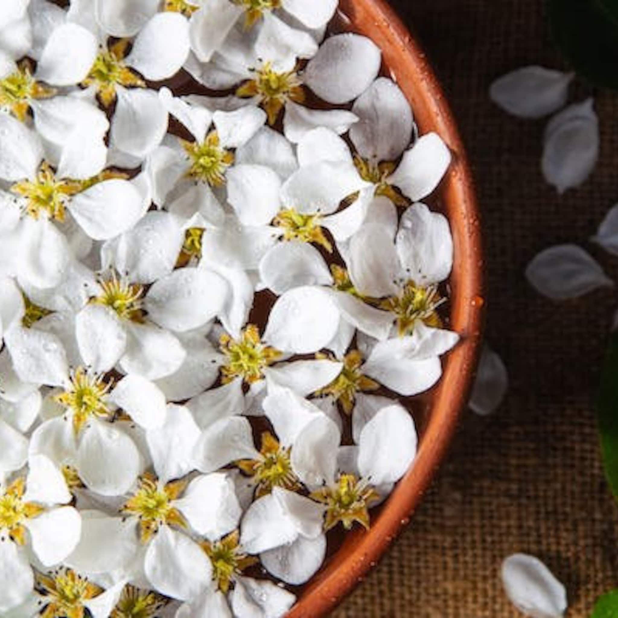 White flower petals with yellow centers in a brown bowl, on a burlap background
