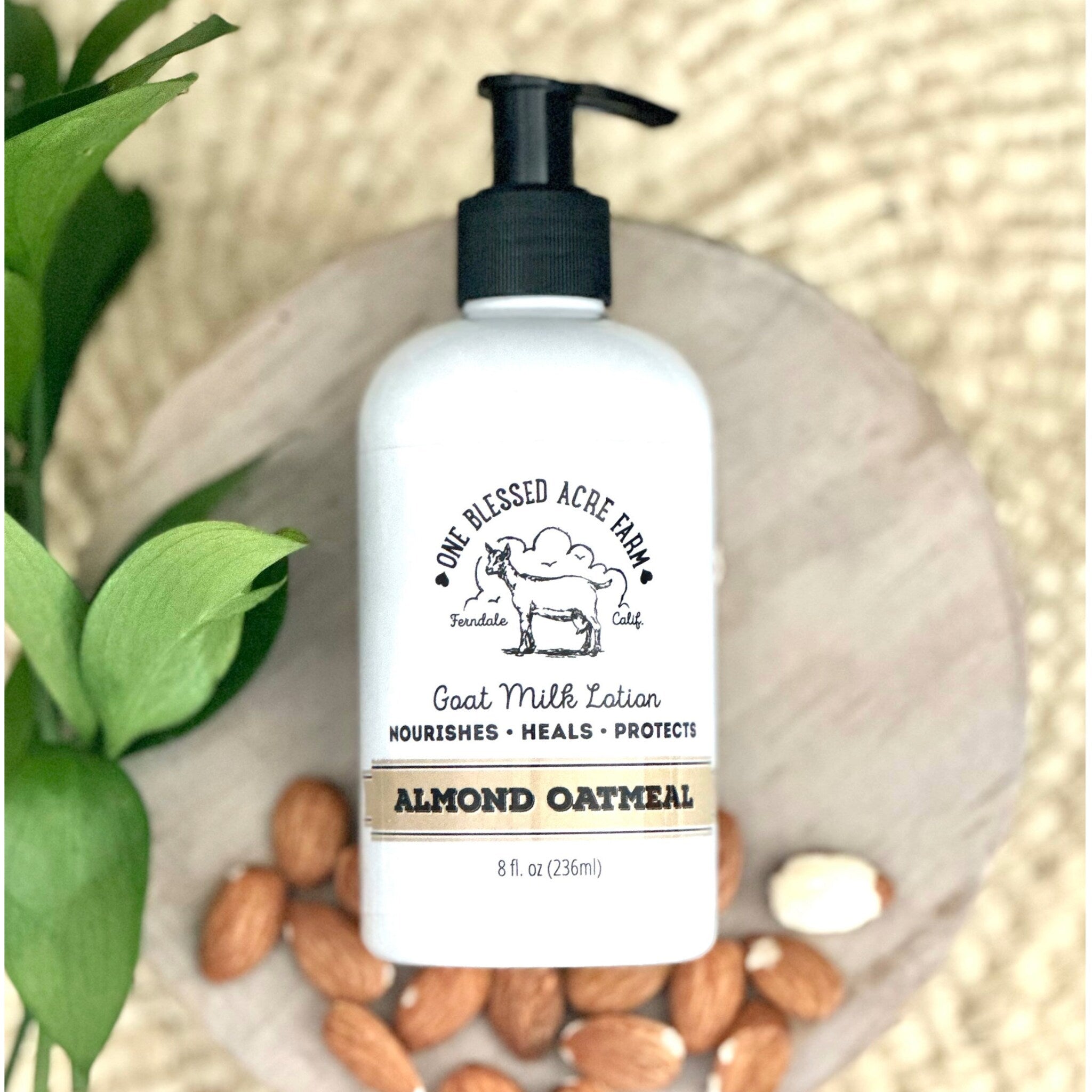 Goat milk lotion bottle with white label, black pump, and almond oatmeal text on a wood surface