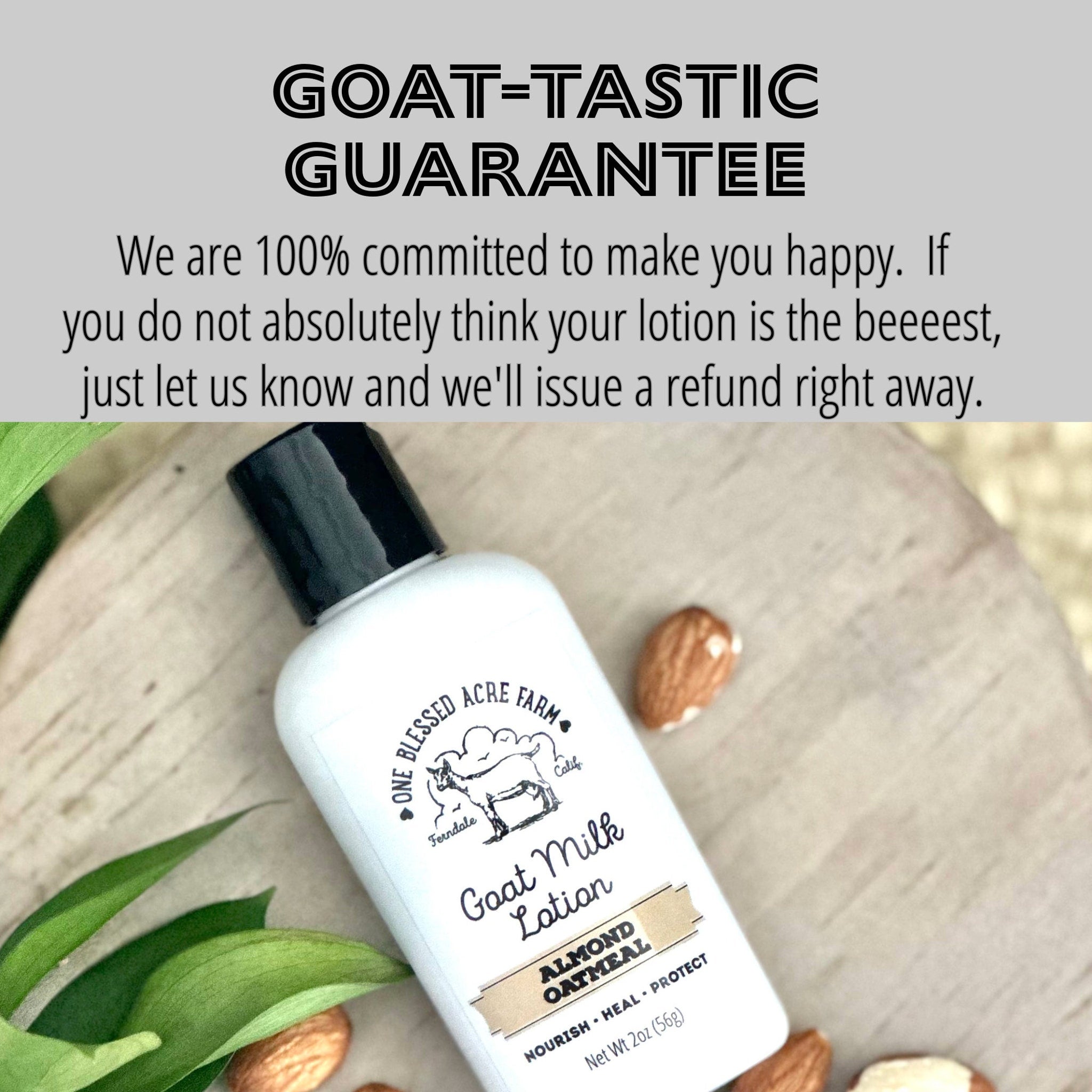 Goat Milk Lotion bottle, white with black cap, on wood surface with almonds and leaves, One Blessed Acre Farm brand