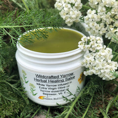 Amber glass jar of organic yarrow salve oil with gold lid and herbal label on wooden surface