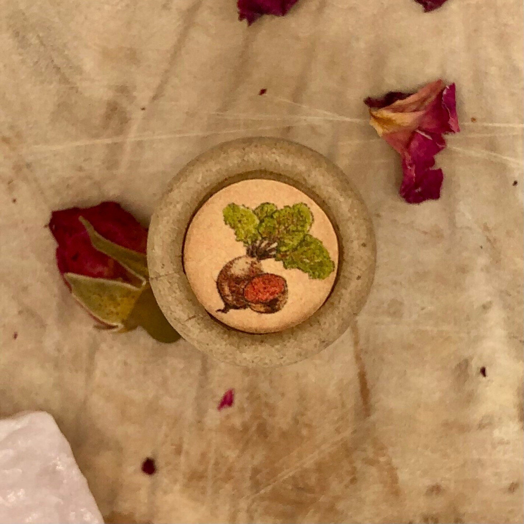 Beetroot illustration on round wooden coaster with green and red accents, on textured paper background