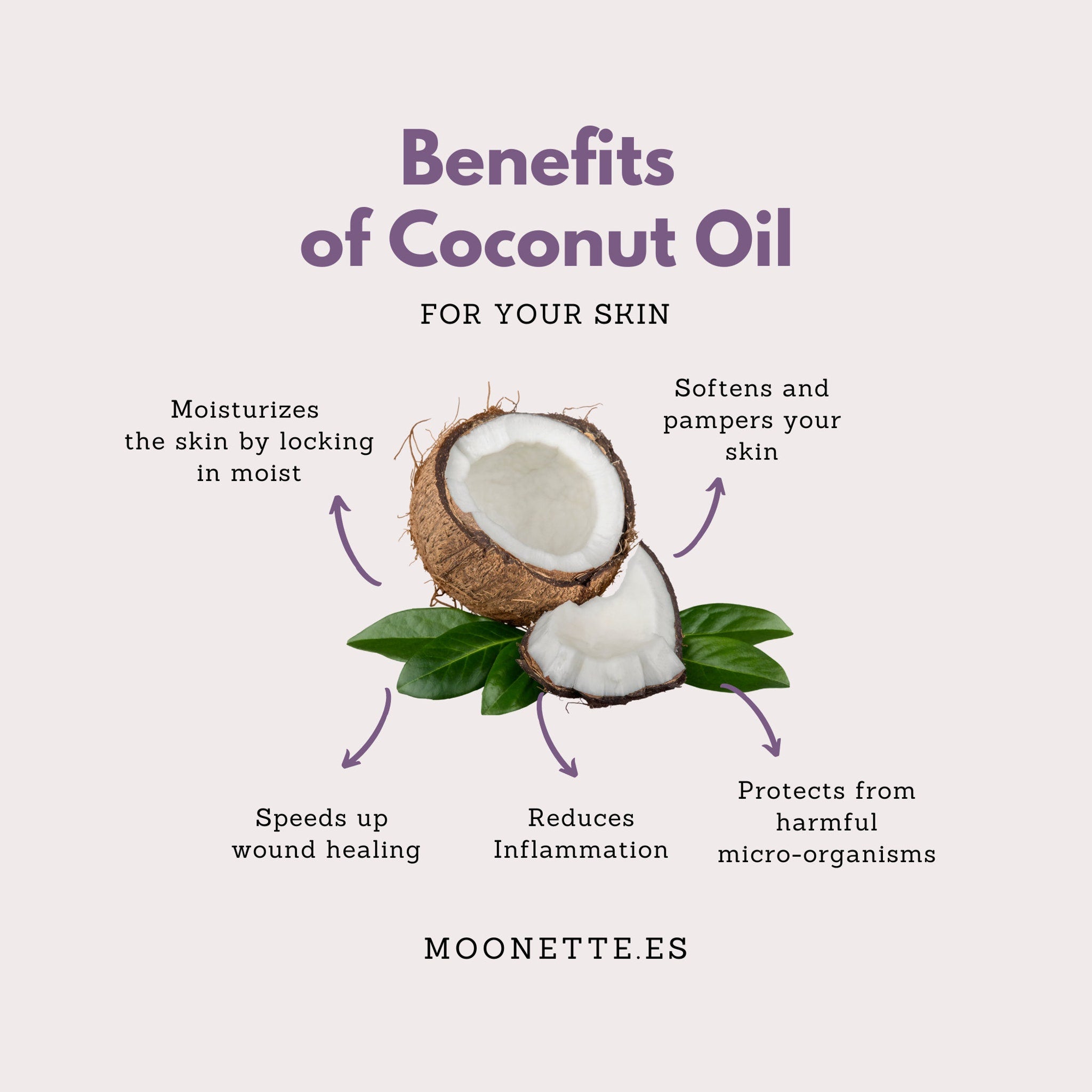 Coconut oil benefits diagram with brown coconut, green leaves, and text, Moonette logo at bottom