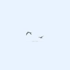 Main product view of Two Flying Birds Semi-Permanent 2-Week Skin-Friendly Tattoo Set 2 Pack