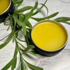 Skin care salve, yellow balm in black tin, surrounded by green leaves