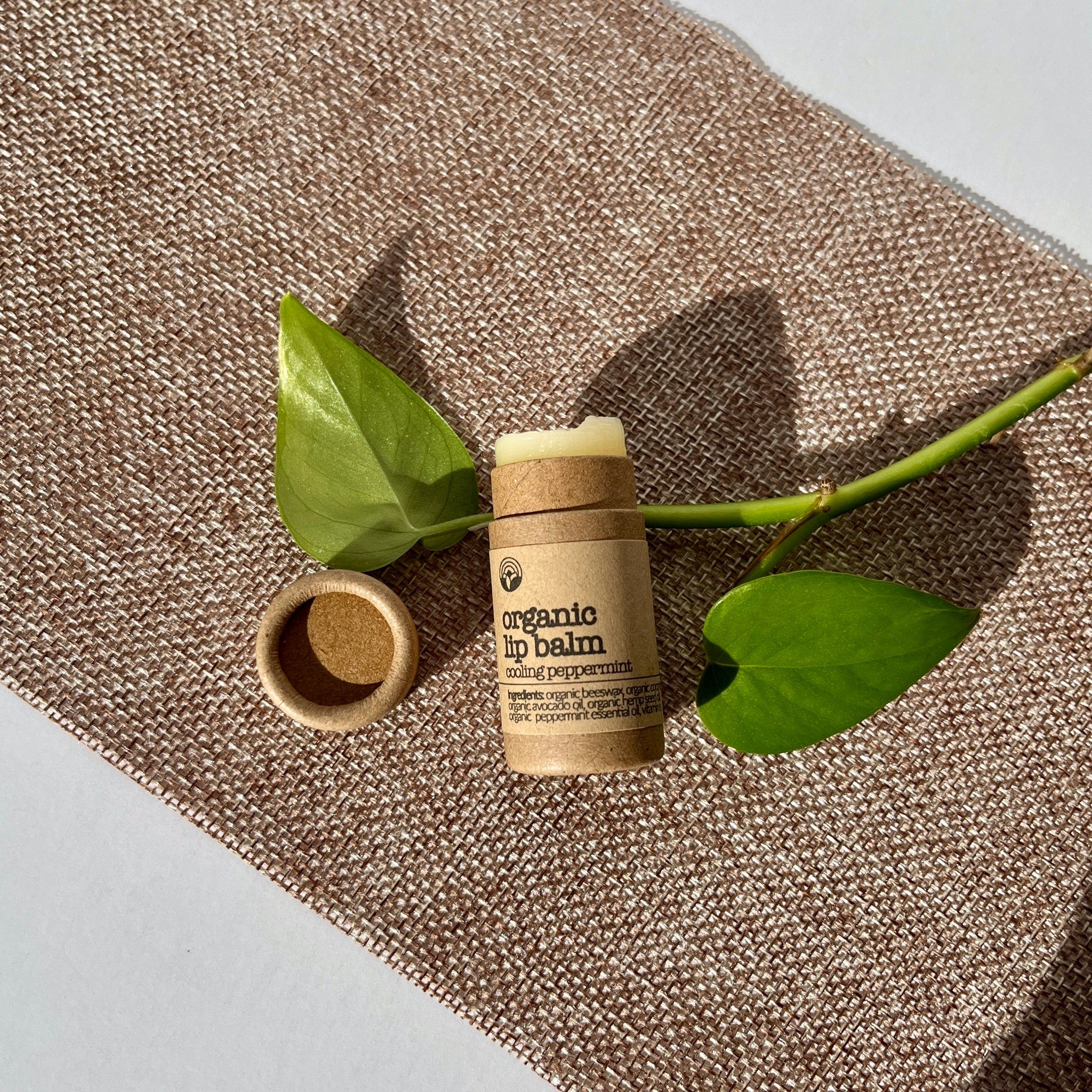 Organic lip balm in cardboard tube, with green leaves on textured brown surface