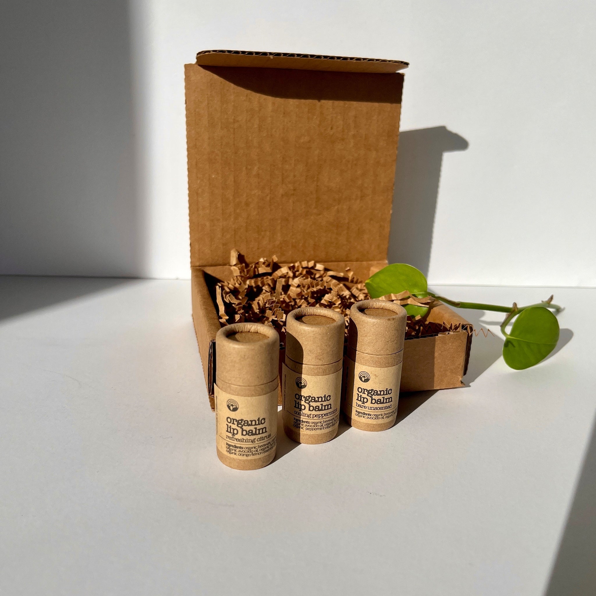 Organic lip balm tubes in brown paper packaging with brand label, inside a cardboard box
