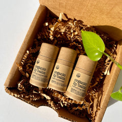 Organic lip balm tubes in brown cardboard box with brown paper filler and green leaf