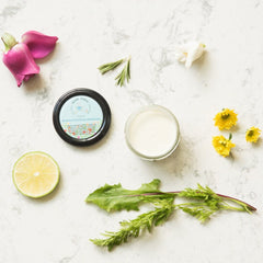 Alternative angle of Botanical Vegan Face Cream Lightweight Plant-Based Moisturizer with Essential Oi