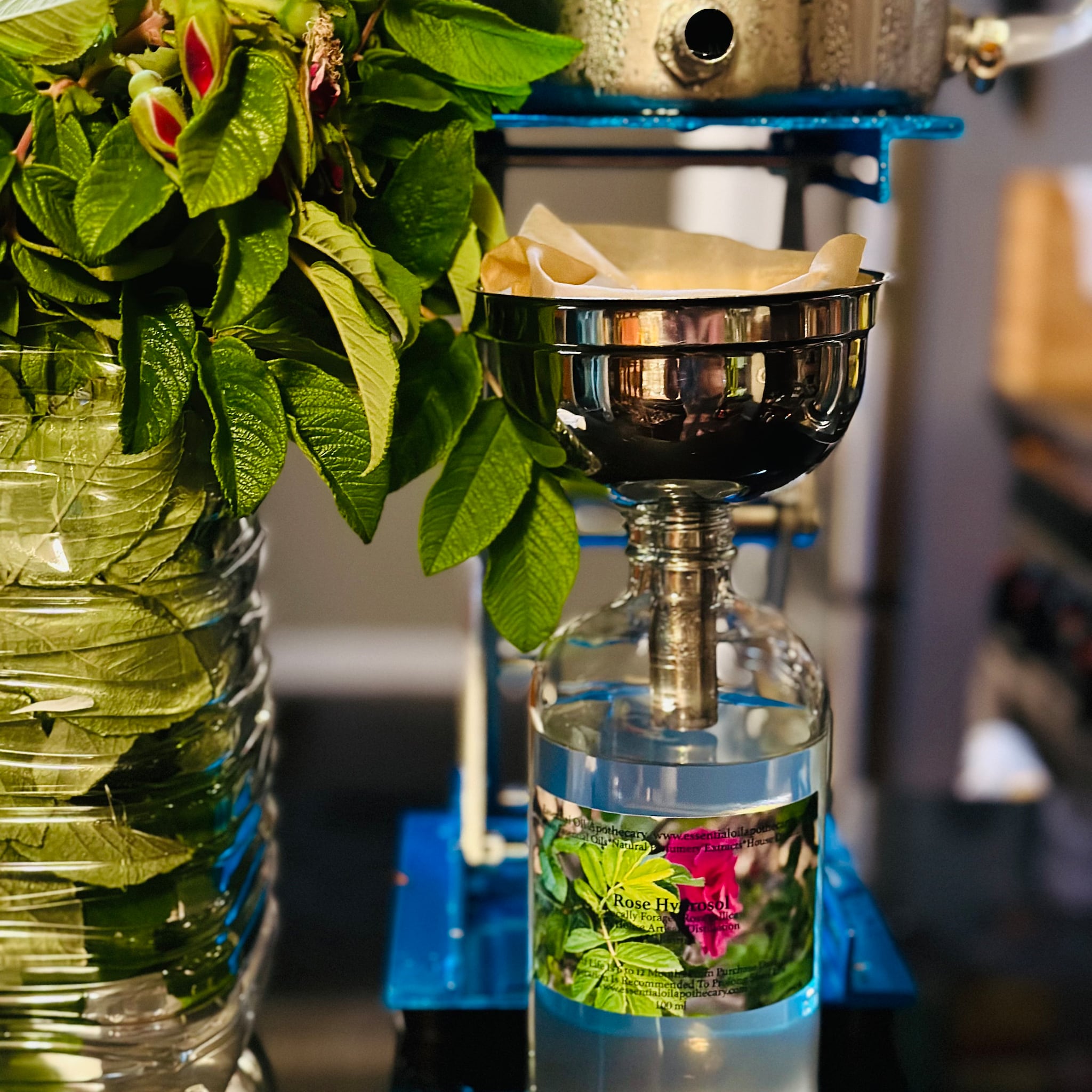 Rose Hydrosol bottle with clear glass and blue label, stainless steel filter, and green leaves