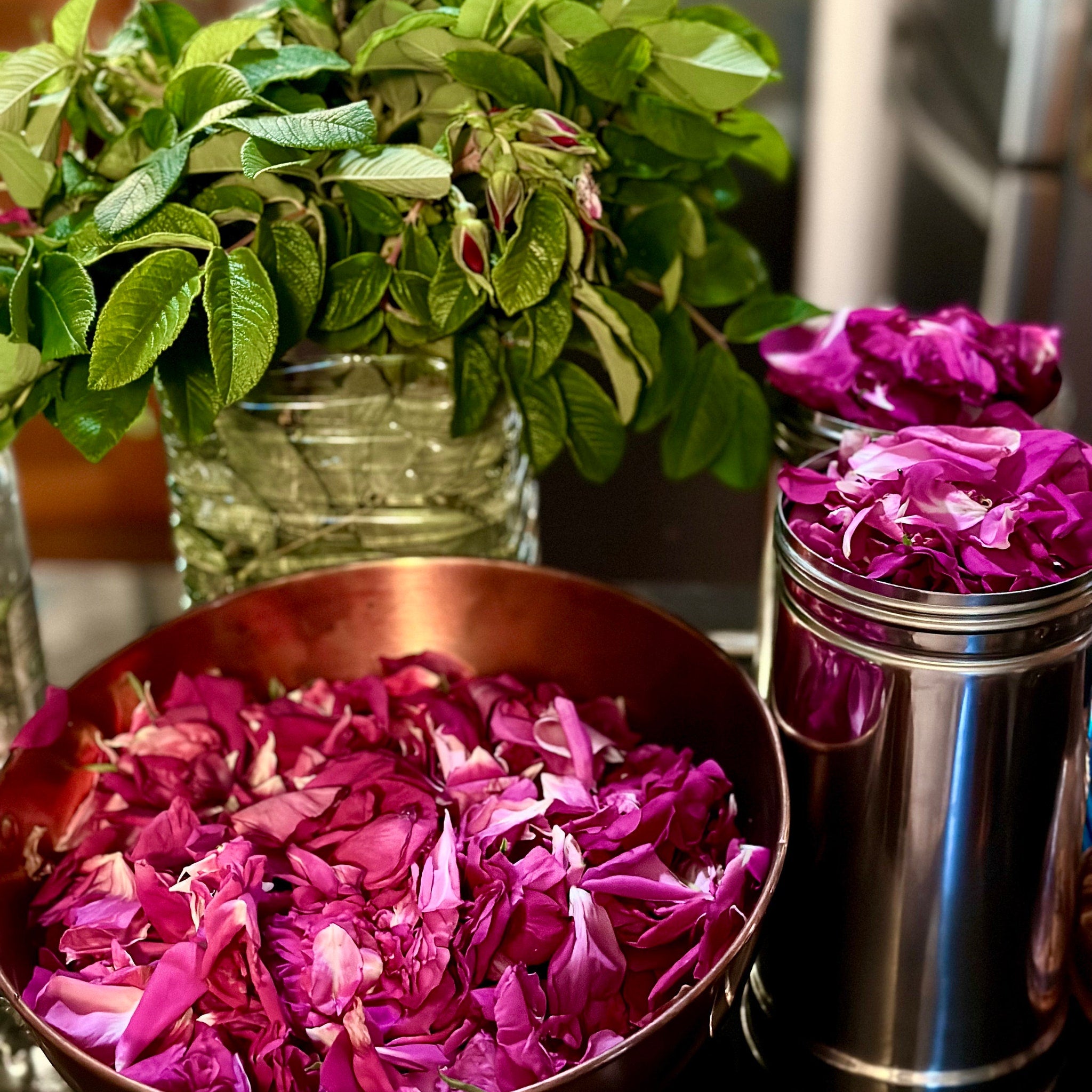 Rose petals in a copper bowl, with green leaves and stainless steel containers