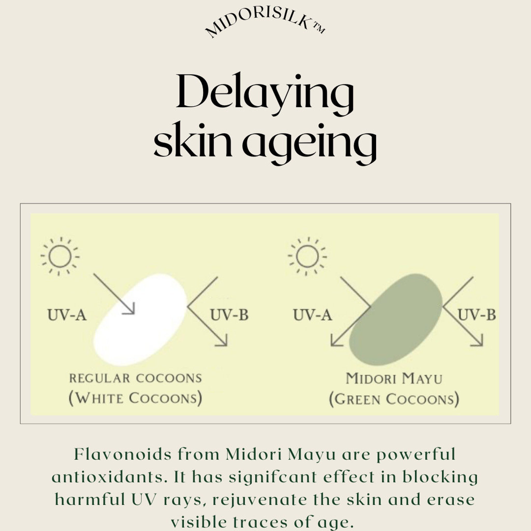 UV protection diagram with white and green cocoons, sun symbols, and MidoriSilk text.
