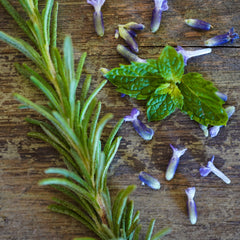 Rosemary sprig with green leaves, purple flowers, and mint on a wooden surface