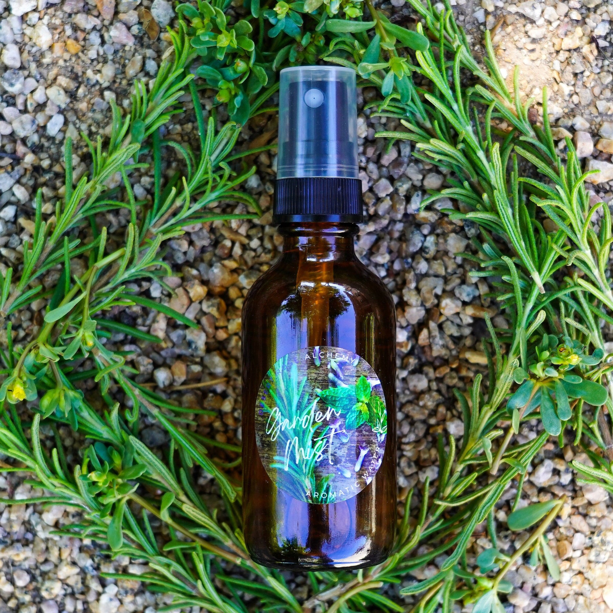Skin care garden mist bottle, brown glass, black cap, surrounded by green rosemary and purslane