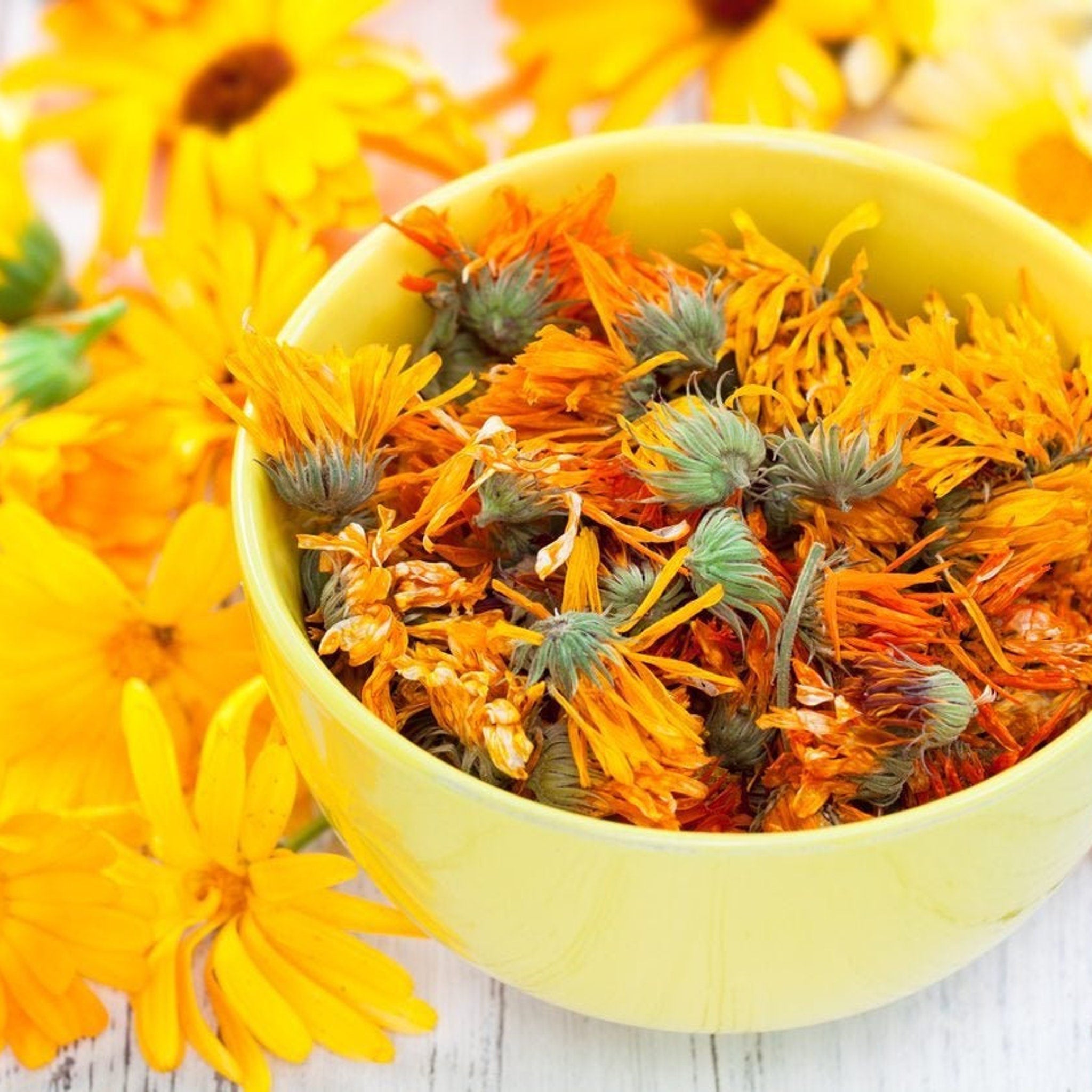 Dried calendula flowers in yellow bowl, orange petals, green buds, and yellow bowl on white wood