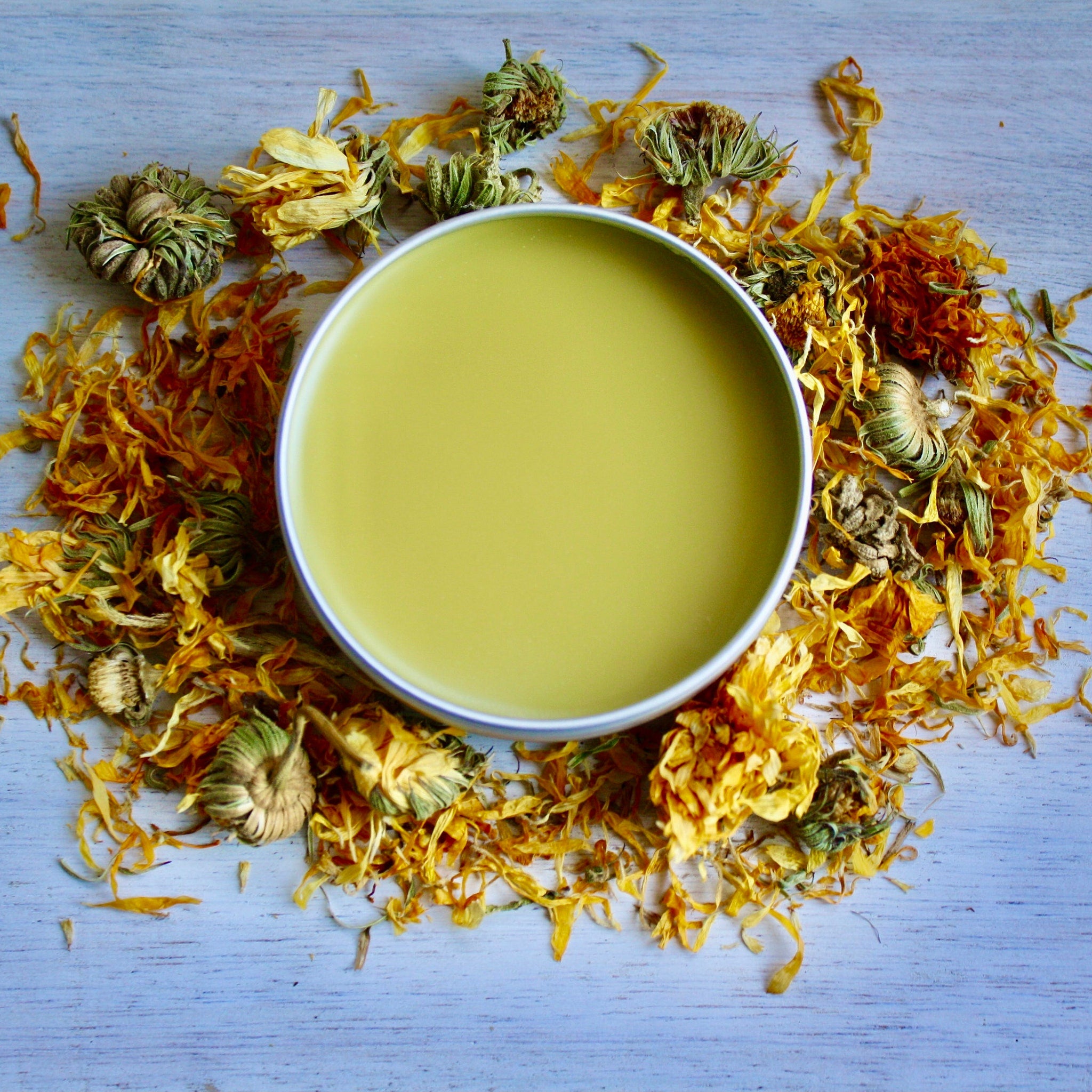 Salve cream, yellow balm in metal tin surrounded by dried yellow flowers and buds on wood surface