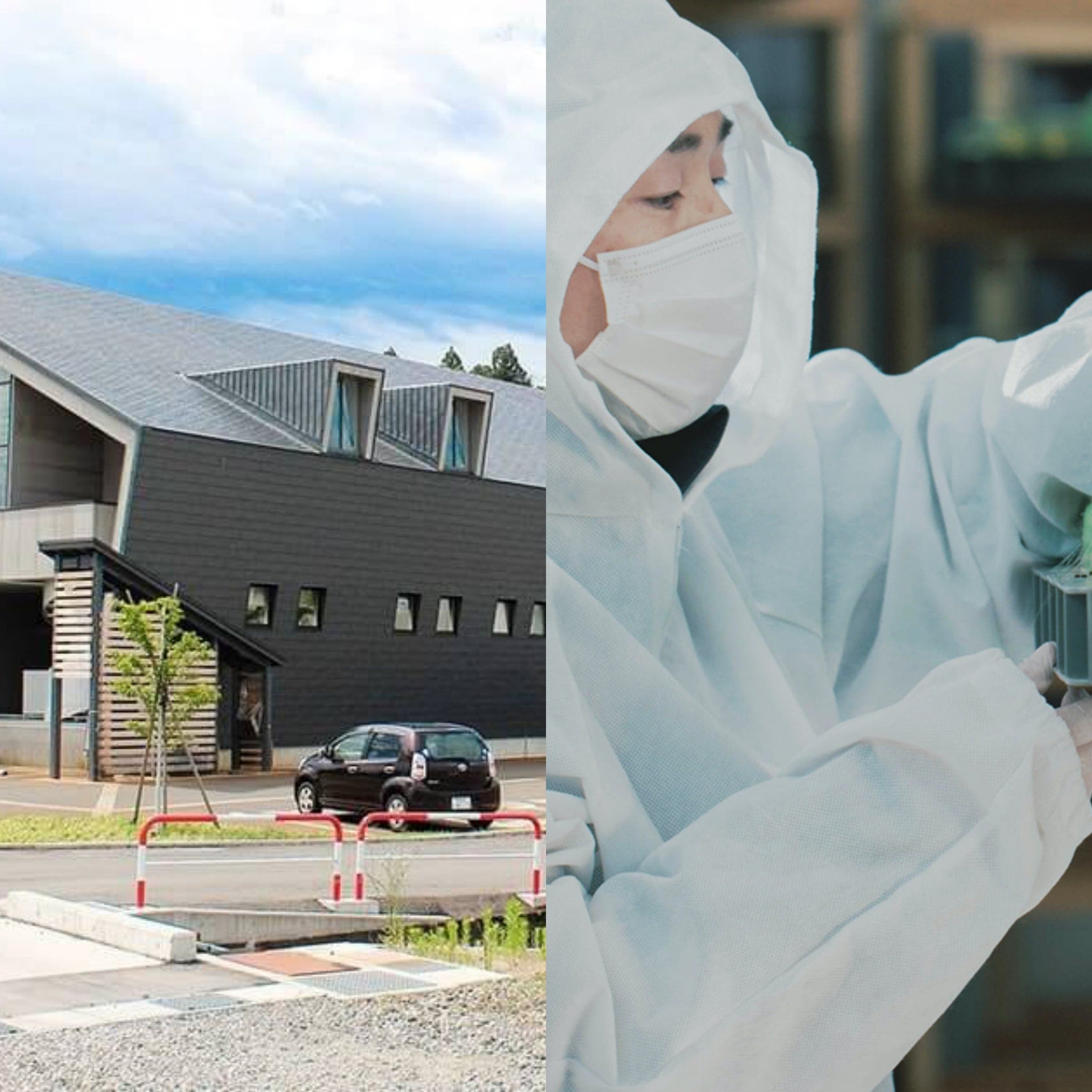 Building exterior with gray roof and black siding, plus a person in white protective suit