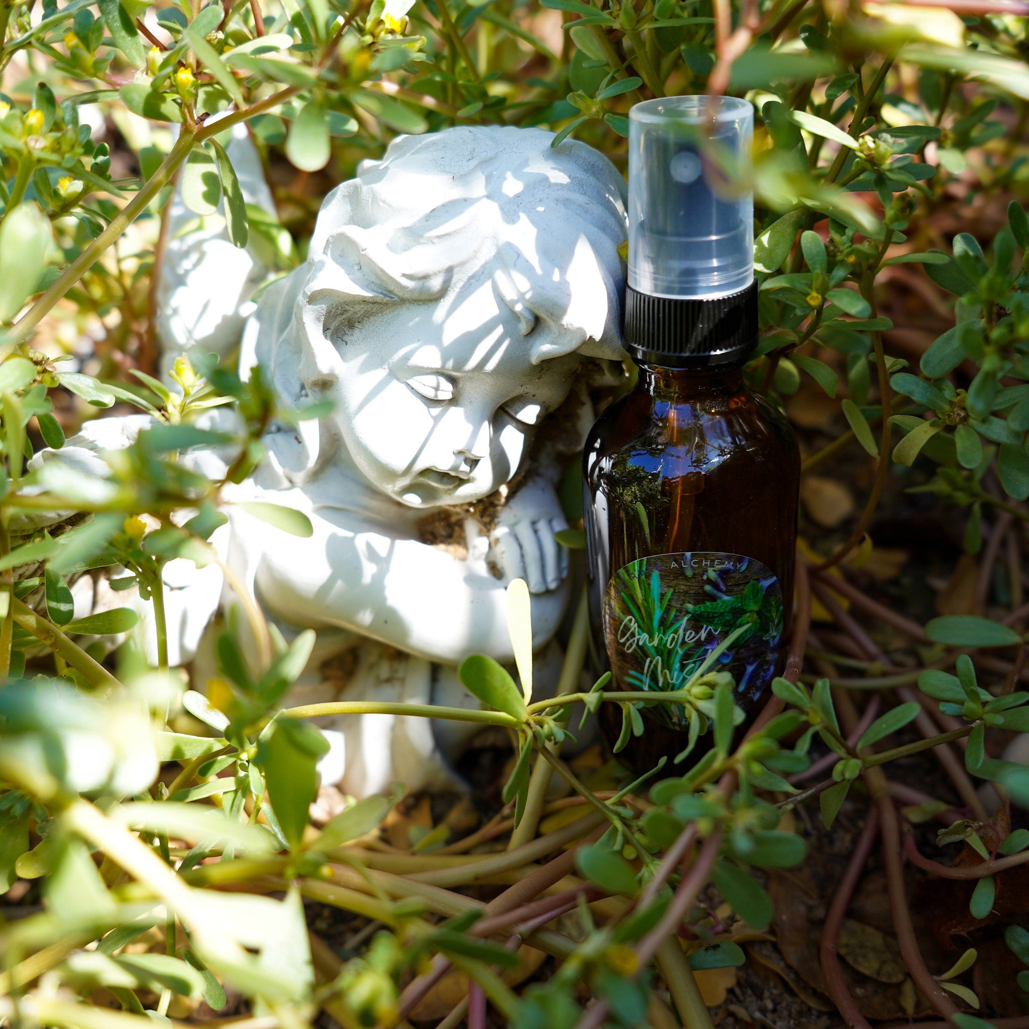 Spray bottle, brown glass, black cap, with ALCHEMY label, near white statue in greenery