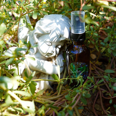 Spray bottle, brown glass, black cap, with ALCHEMY label, near white statue in greenery
