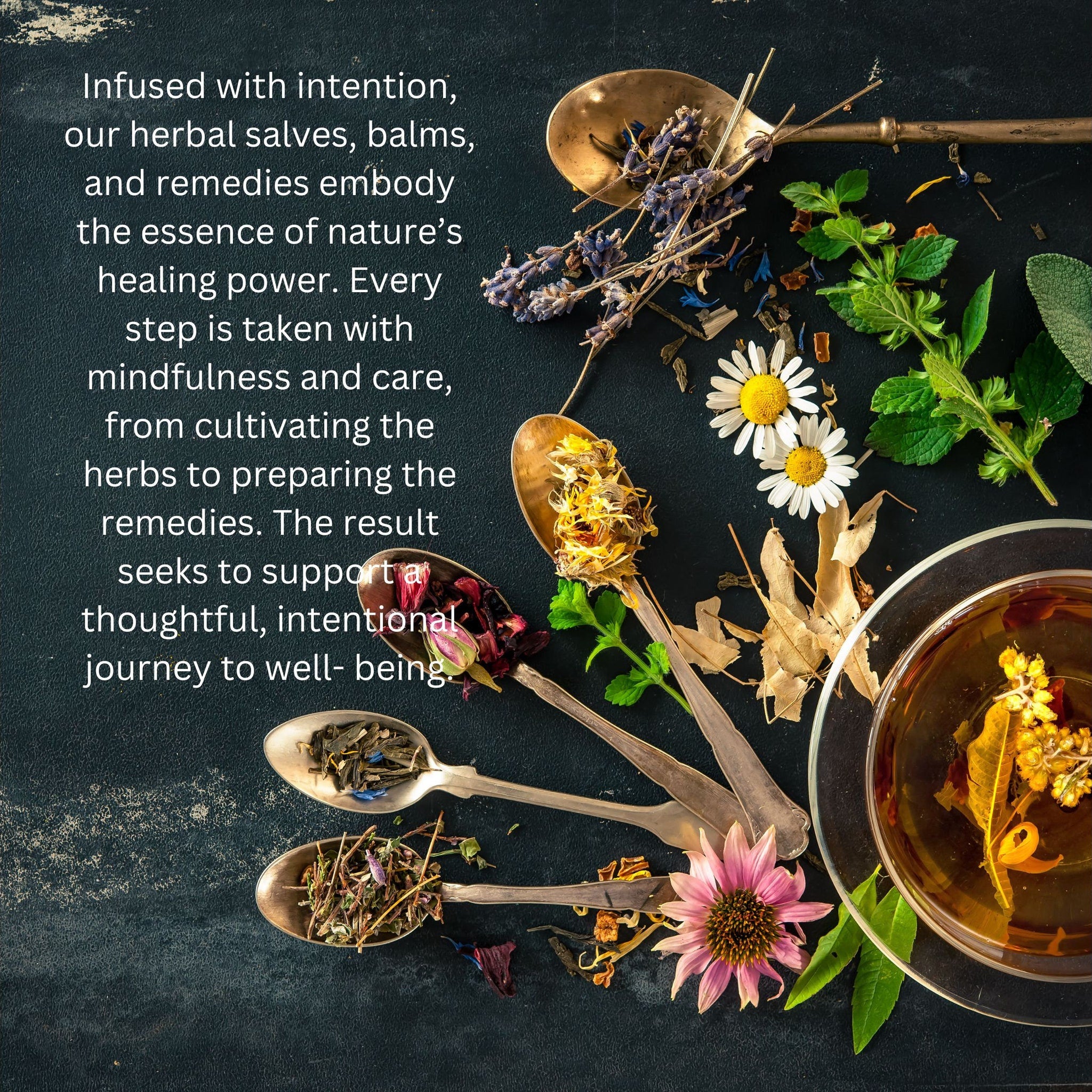 Herbal tea ingredients on spoons, assorted colors, dried herbs, dark background