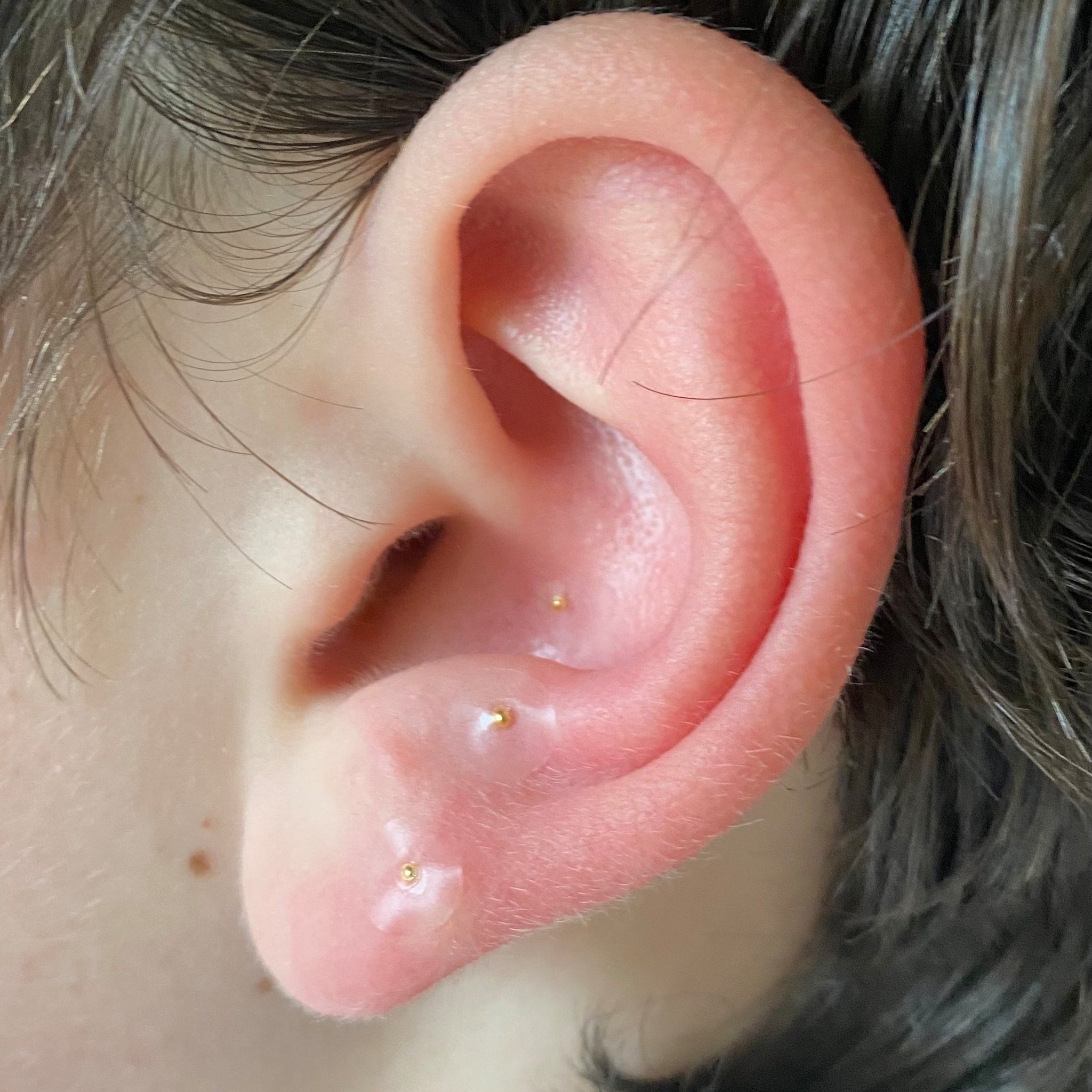 Ear with gold studs and clear adhesive, showing skin tone and dark hair
