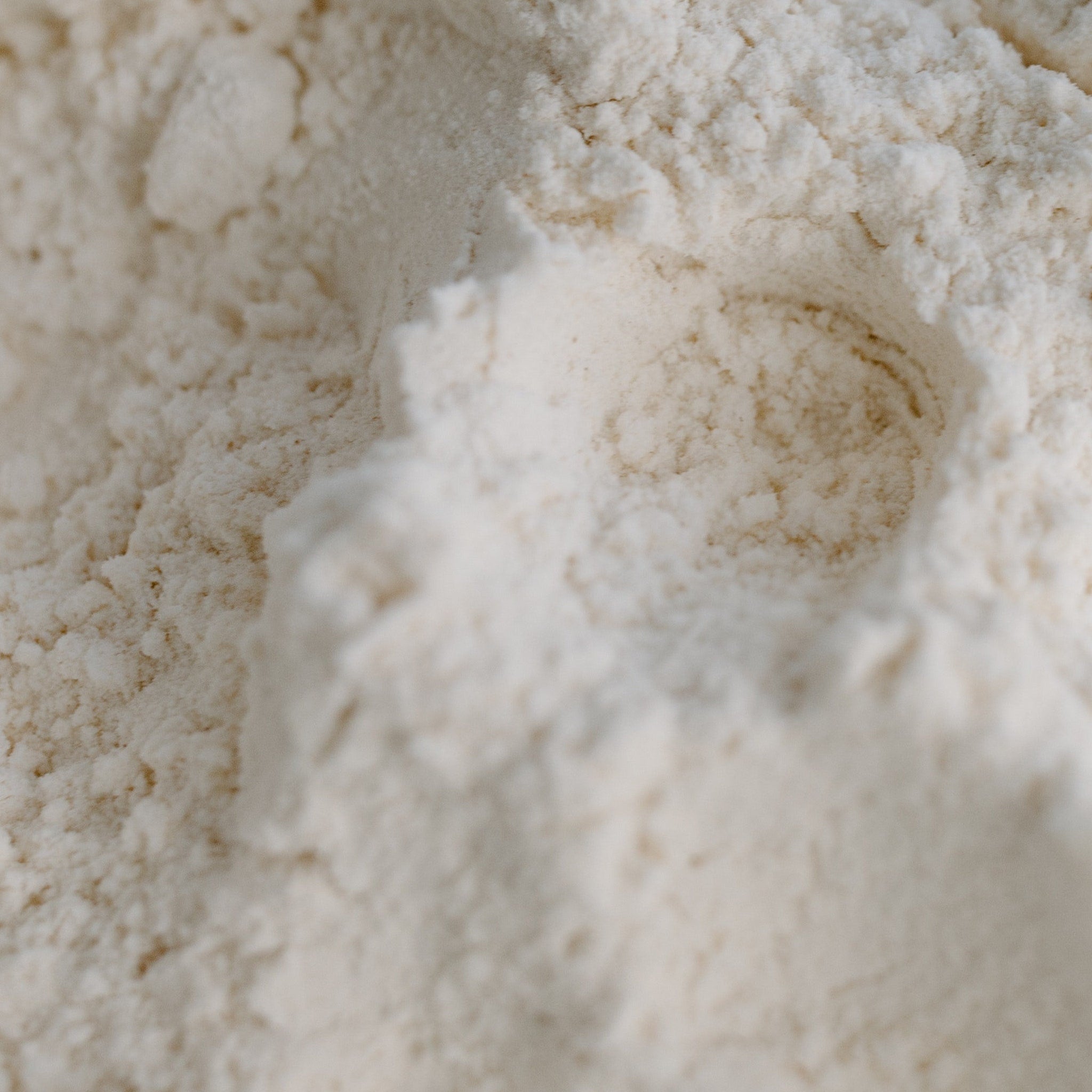 Flour close-up, off-white powder with textured surface and visible granules