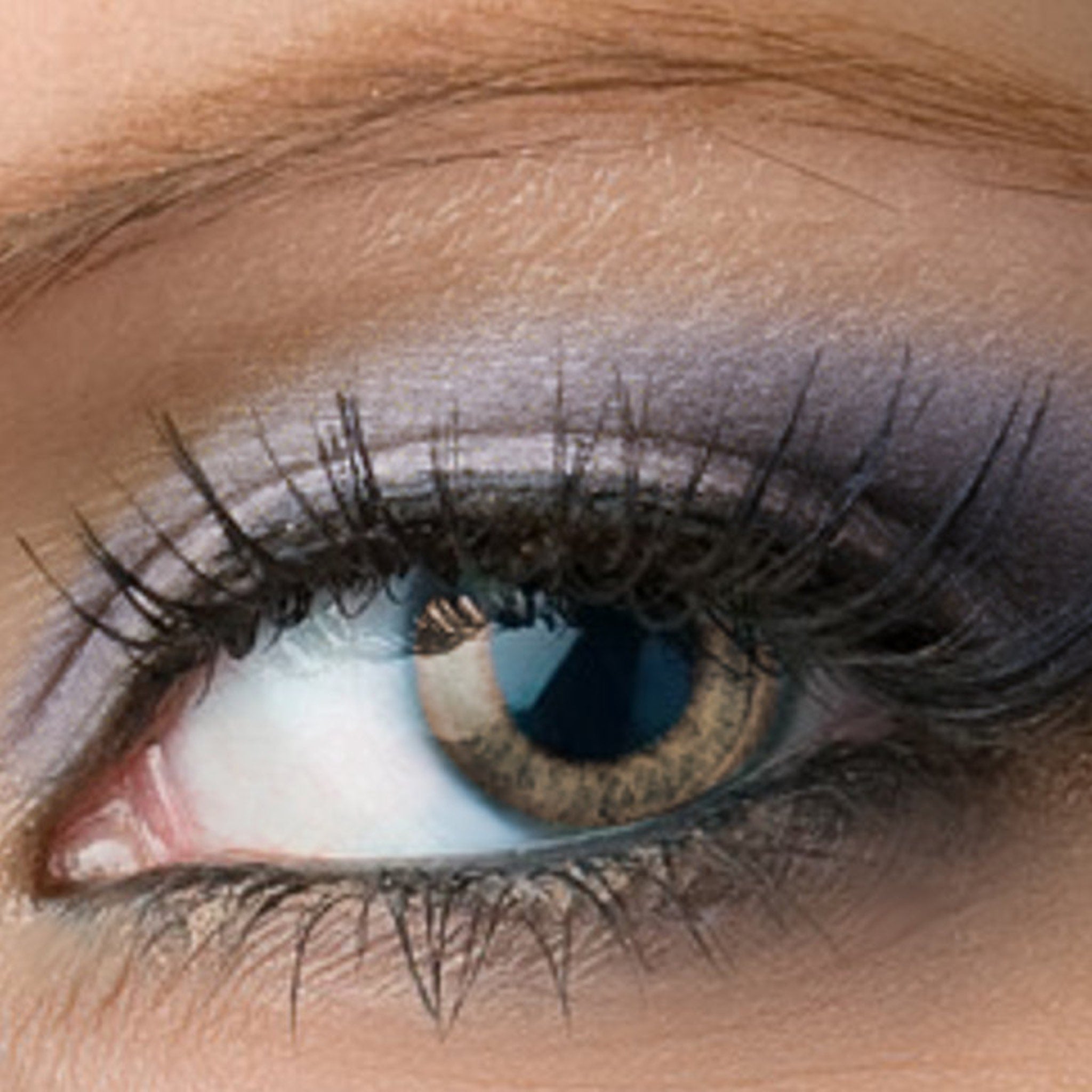 Eye close-up with brown iris, black eyelashes, and purple eyeshadow for makeup demonstration
