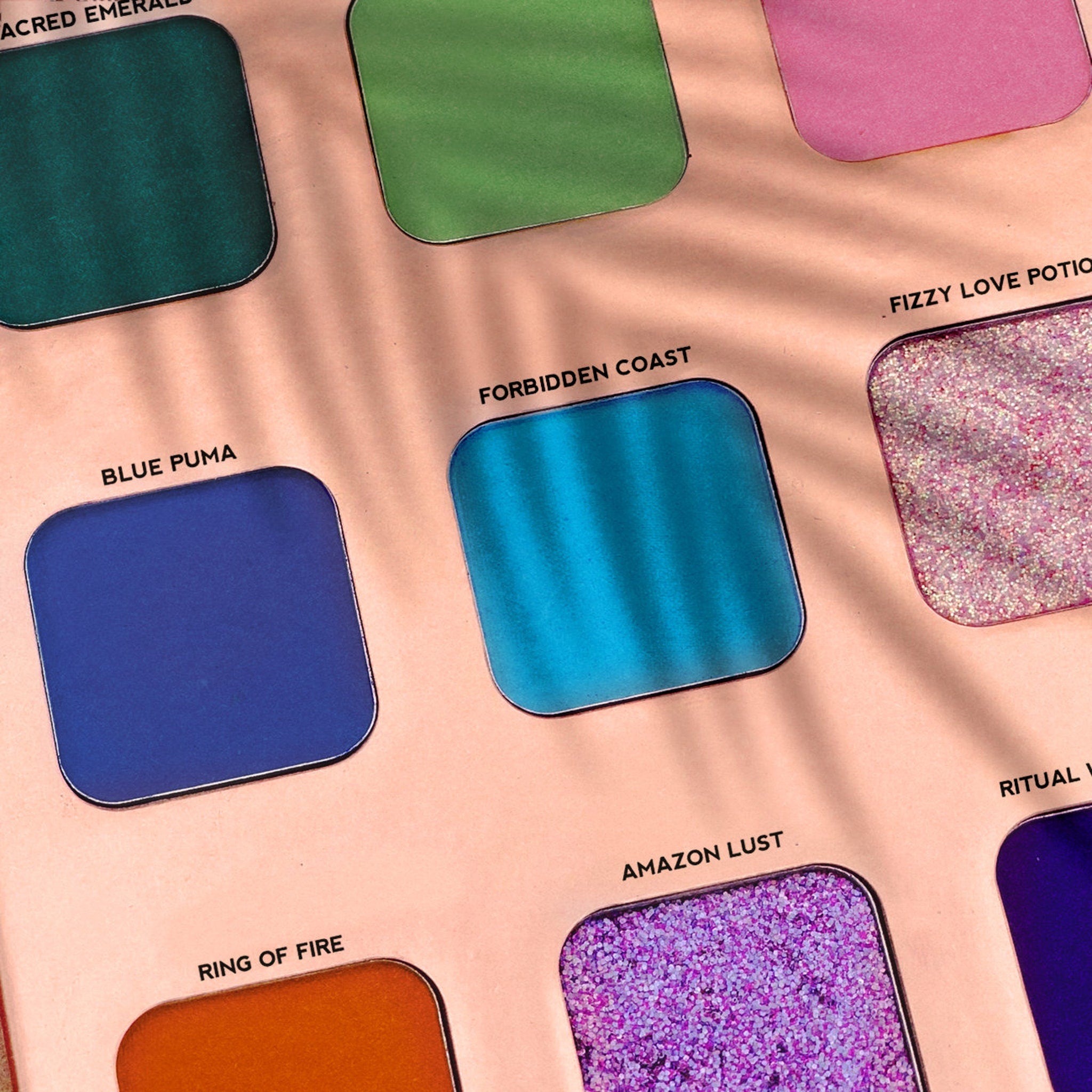 Open Jungle Queen eyeshadow palette showing 12 vibrant tropical shades in rainbow order with floral artwork