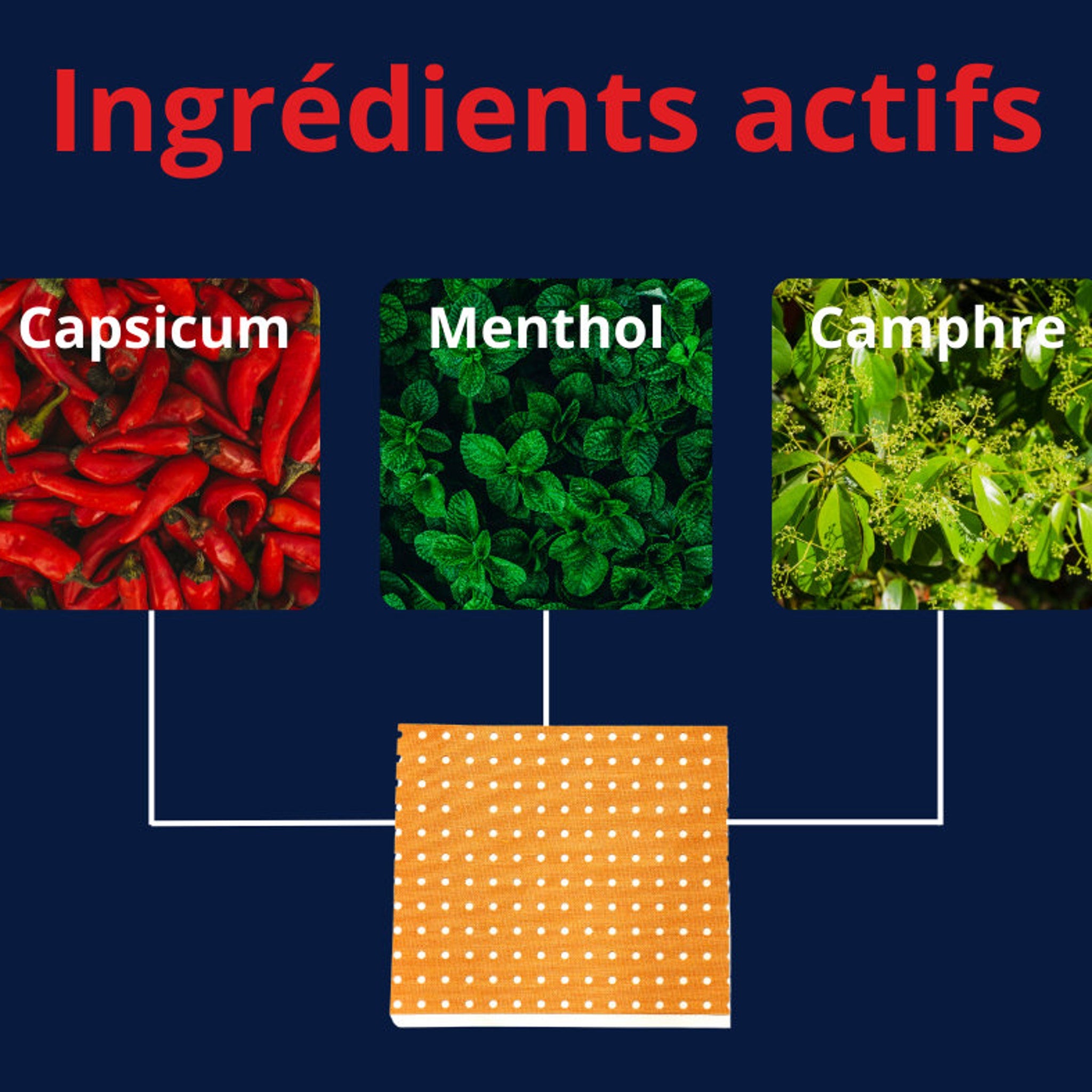 Active ingredients image with red peppers, green leaves, and orange bandage with white dots on a blue background
