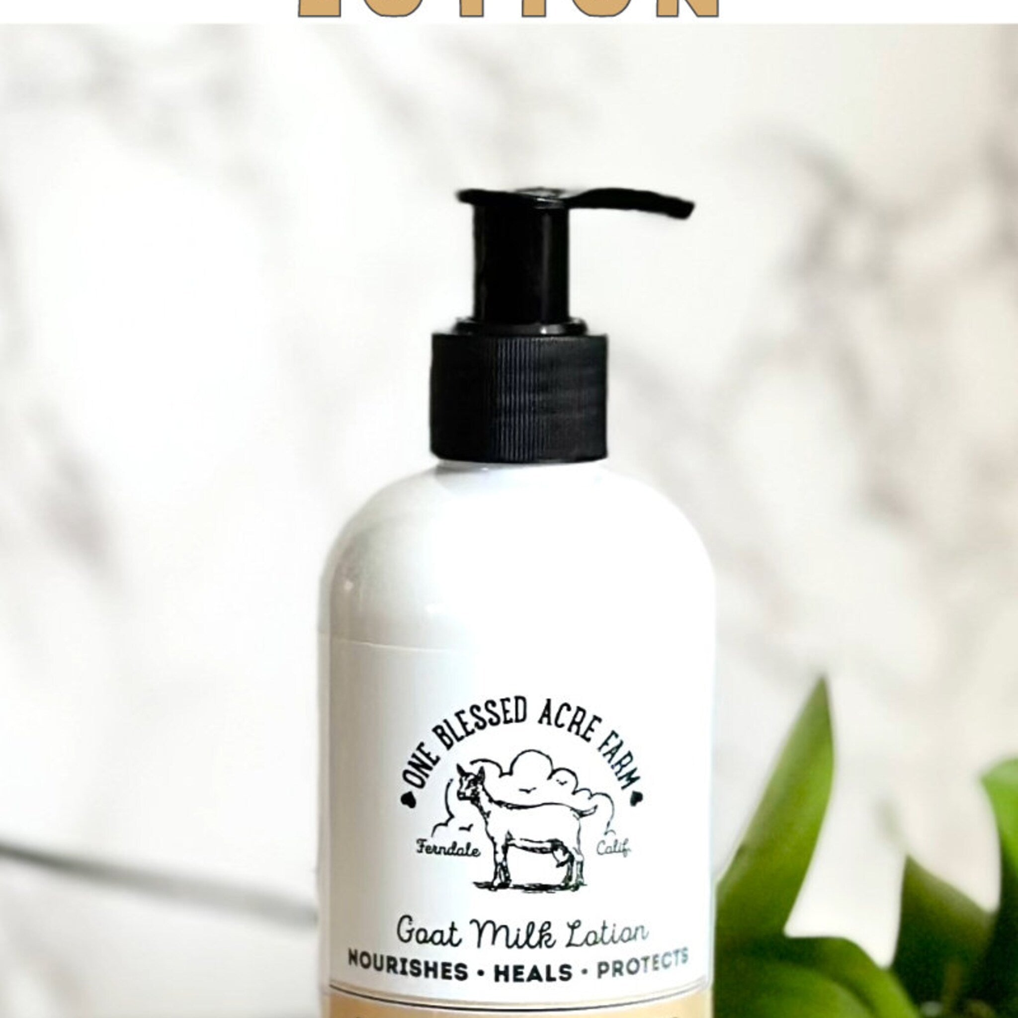 Goat Milk Lotion bottle, white with black pump, One Blessed Acre Farm branding