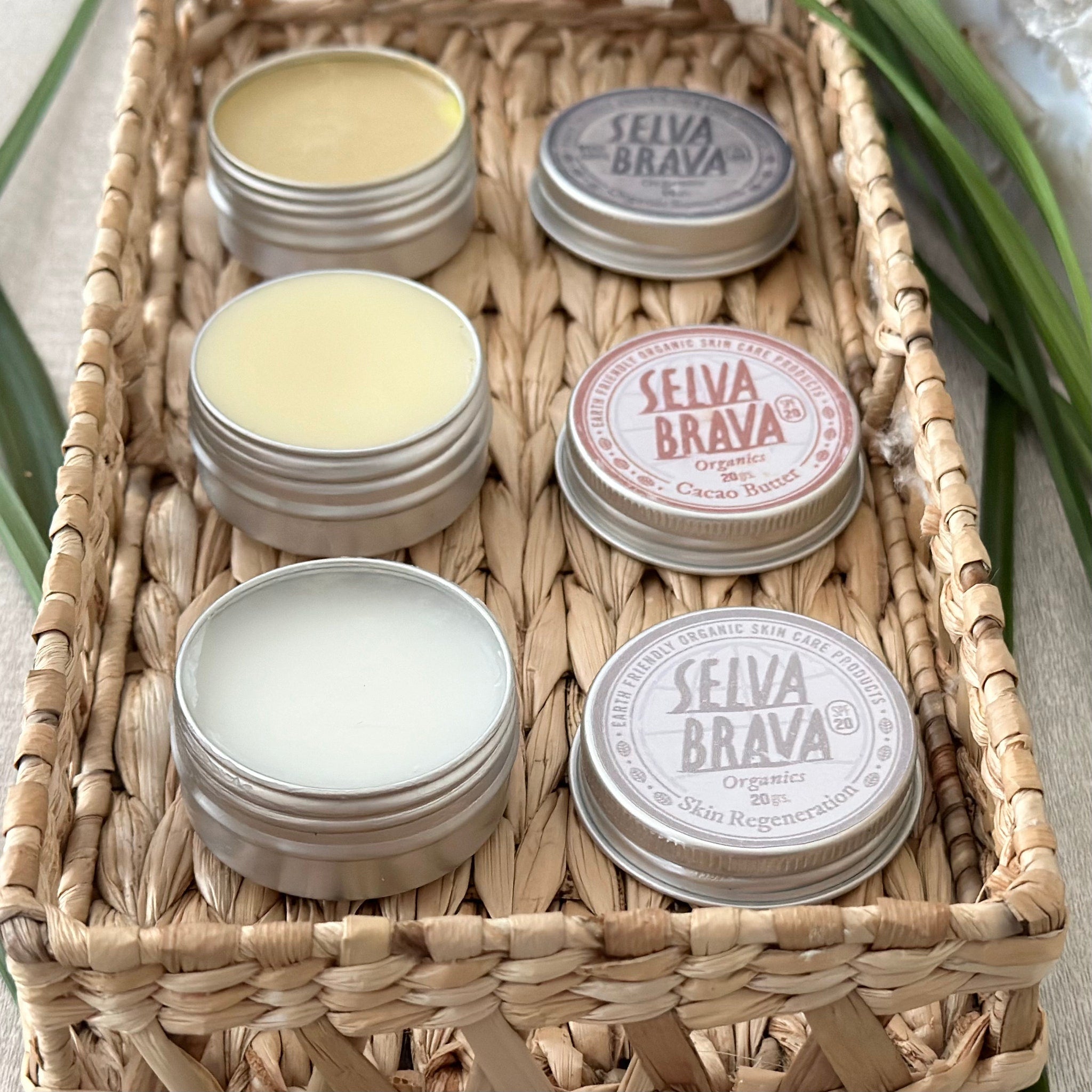 Skin care products in silver tins with yellow, white, and brown contents, displayed in a woven basket, SELVA BRAVA branding visible