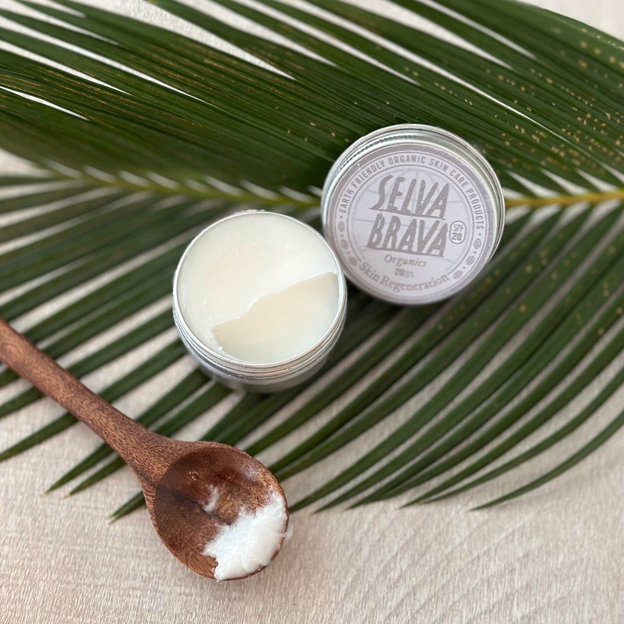 Skin cream in silver tin with white cream and wooden spoon on green leaf background