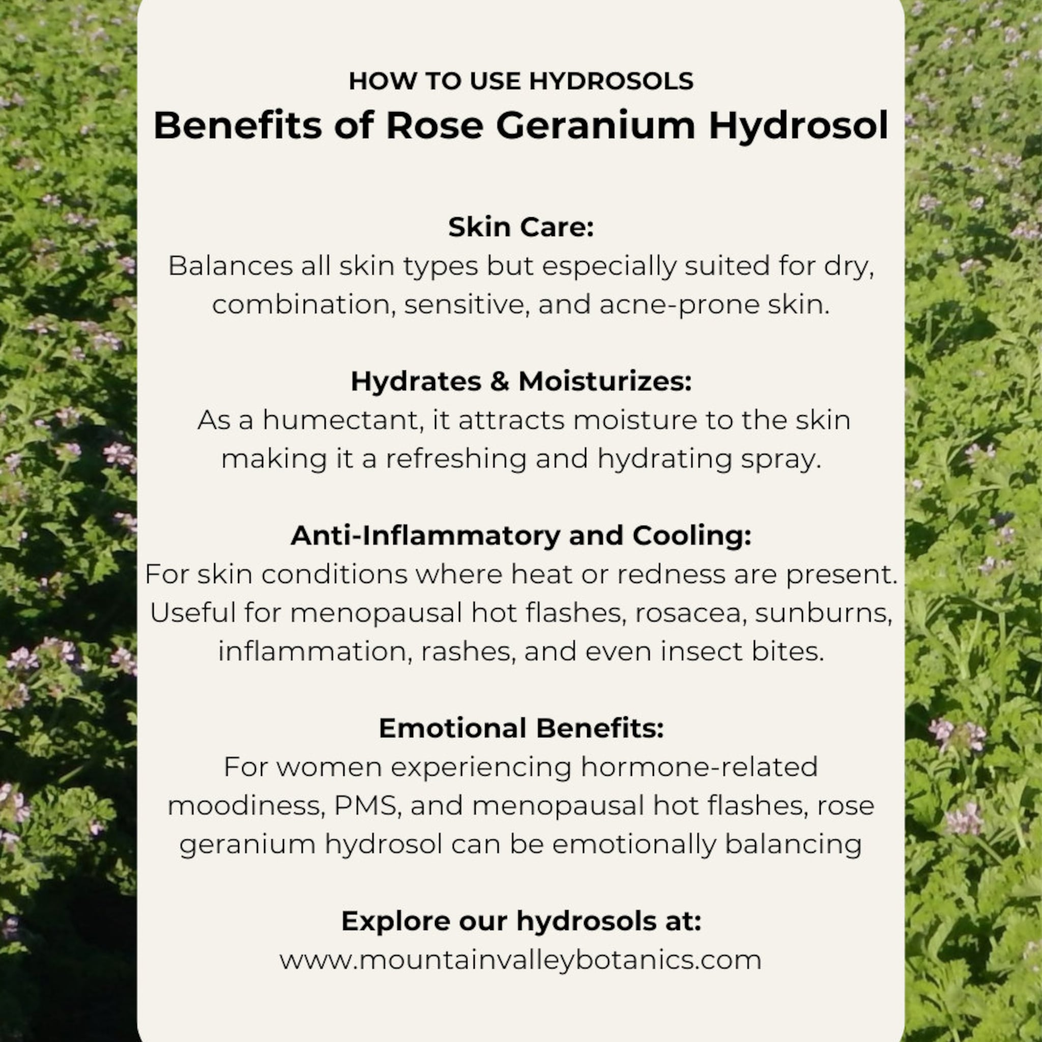 Rose Geranium Hydrosol benefits text on white background with green plant border, Mountain Valley Botanics website address